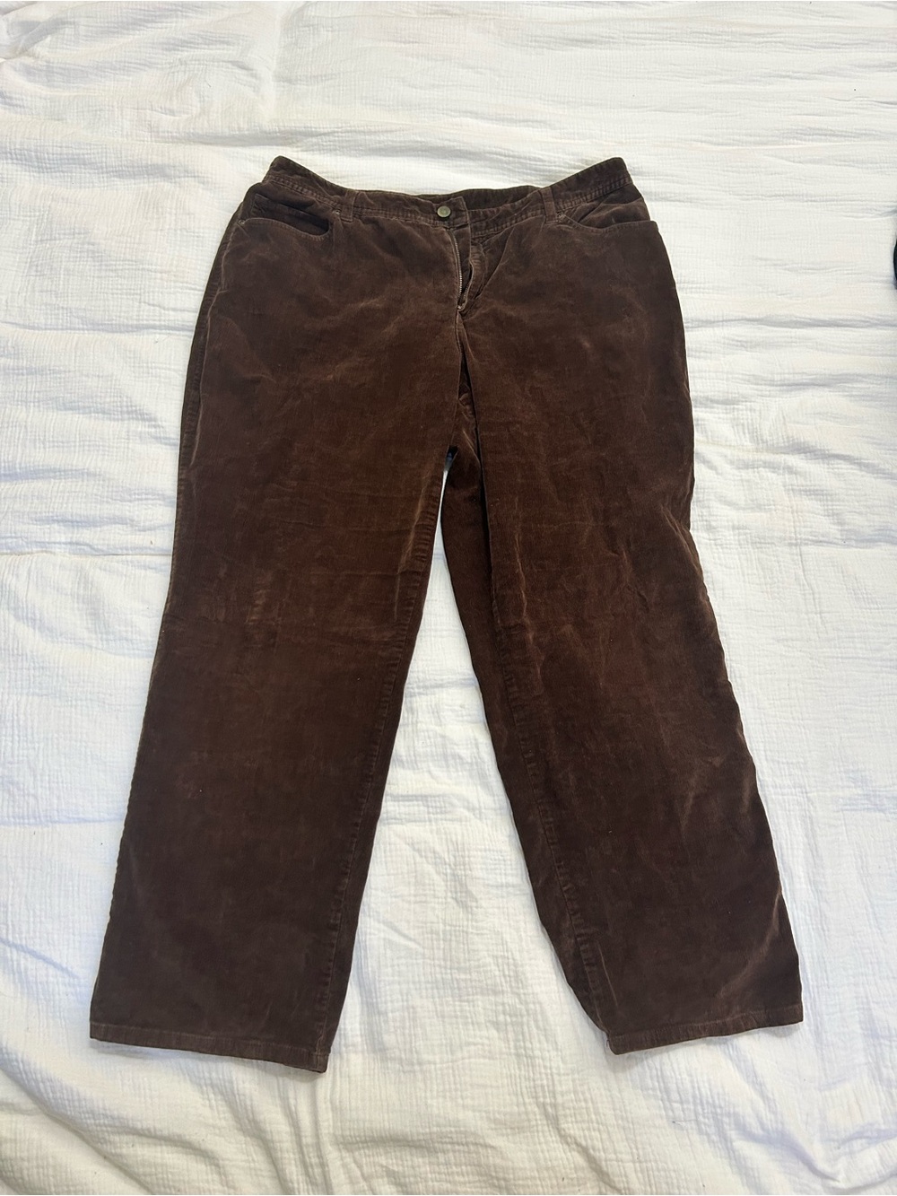 Style & Co. Men's Dark Brown Corduroy Pants